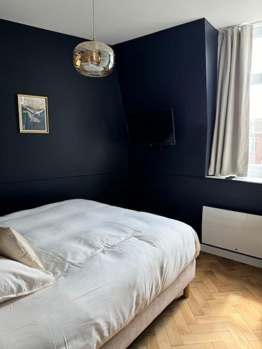 Bel Appartement Climatise En Plein Coeur De リール エクステリア 写真
