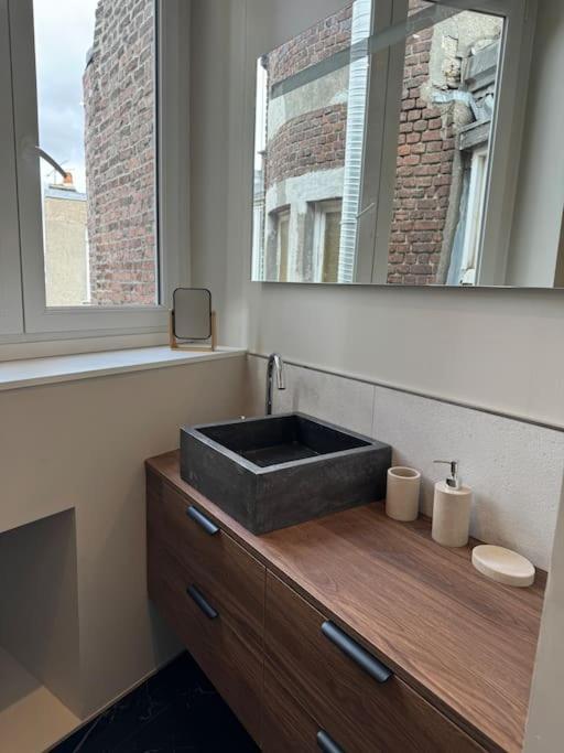 Bel Appartement Climatise En Plein Coeur De リール エクステリア 写真
